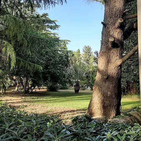 De Leva